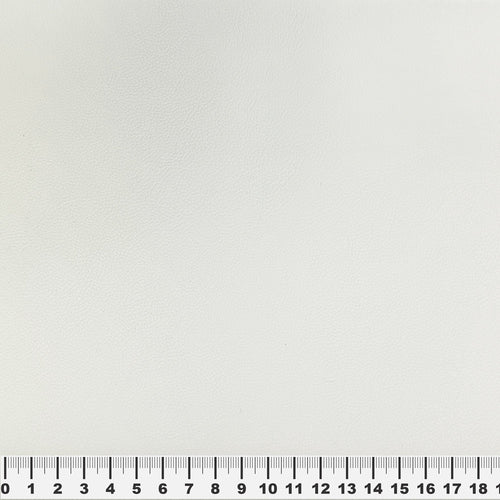 mostra Piele Ecologica Fezinter