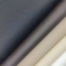 mostra Piele Ecologica Bizon