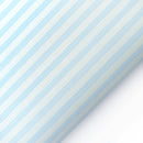 mostra Piele Ecologica Stripe