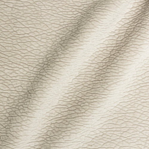 Material Textil Bulldog