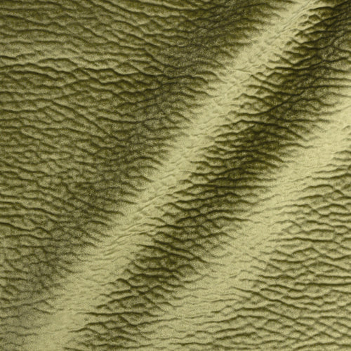 Material Textil Bulldog