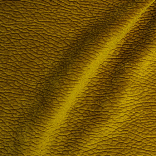 Material Textil Bulldog