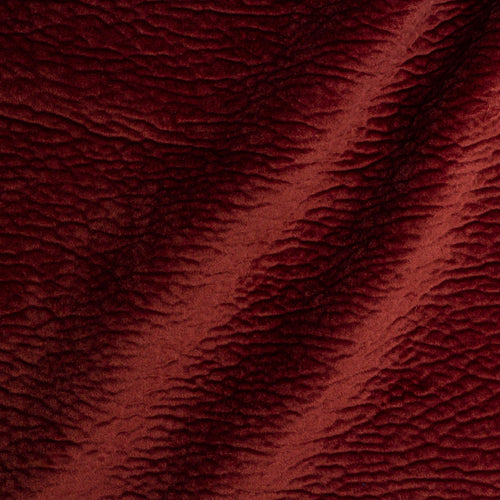 Material Textil Bulldog