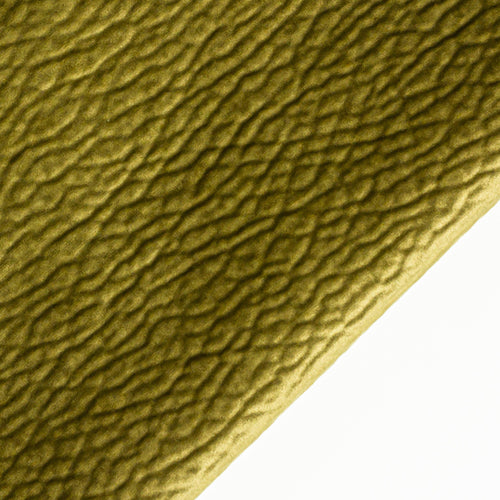 Material Textil Bulldog